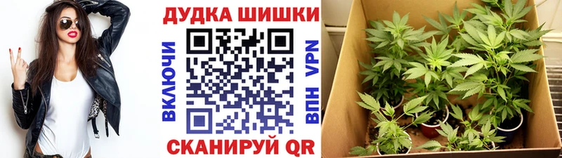 что такое наркотик  Старый Оскол  Бошки марихуана конопля 